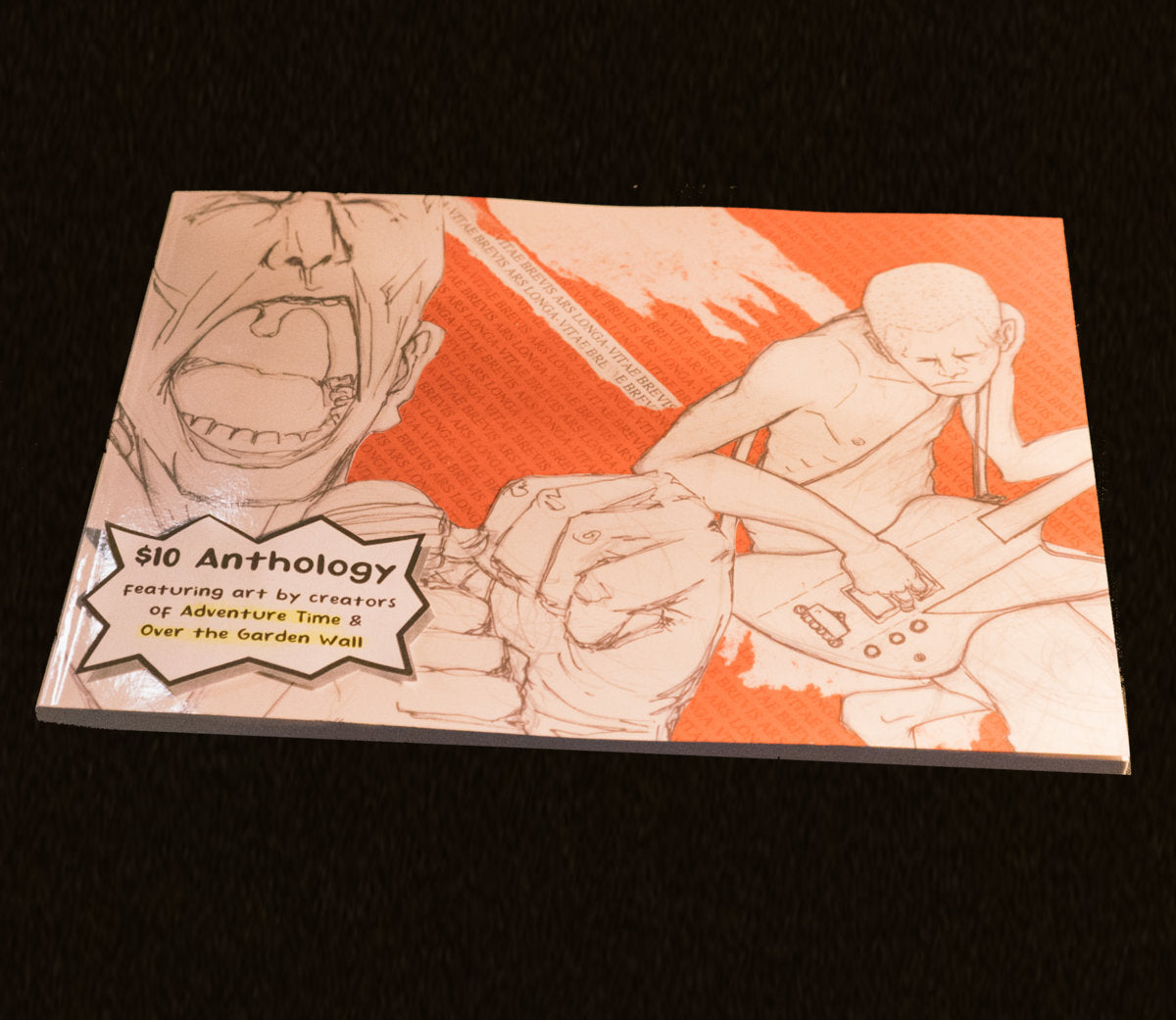 The Industry Standard art anthology featuring Patrick Mchale, Pendleton Ward, Brian Ewing and more!